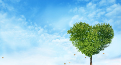 Strom ve tvaru srdce