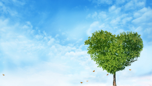 Strom ve tvaru srdce