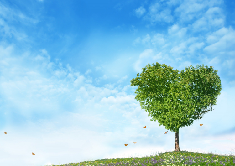 Strom ve tvaru srdce