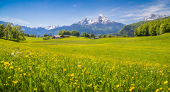 Idylický pohled na Alpy