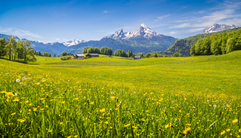 Idylický pohled na Alpy