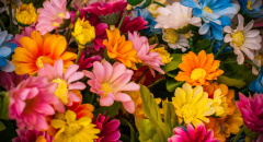 Pestrá kytice