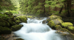 Tatranský národní park