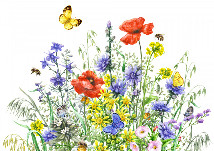 Malba - Divoké květy