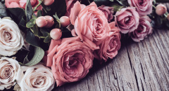 Růžové a béžové růže