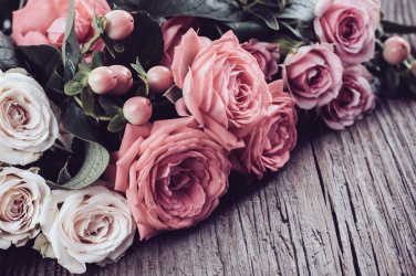 Růžové a béžové růže