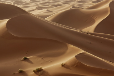 Saharské duny