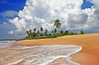 Divoká pláž Srí Lanky