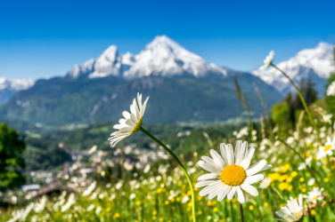 Umělecký pohled na Alpy