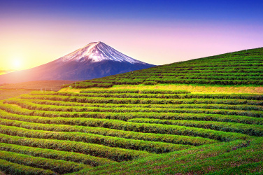 Fudži, Japonsko