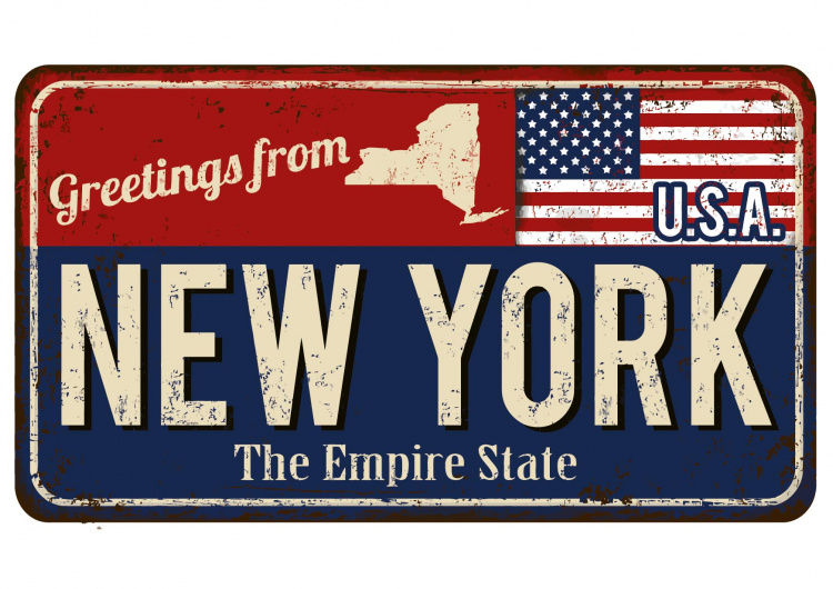 Cedule - NY