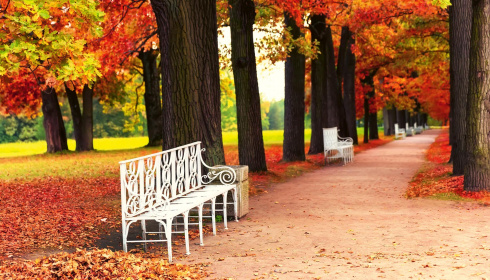 Bílá lavička v parku