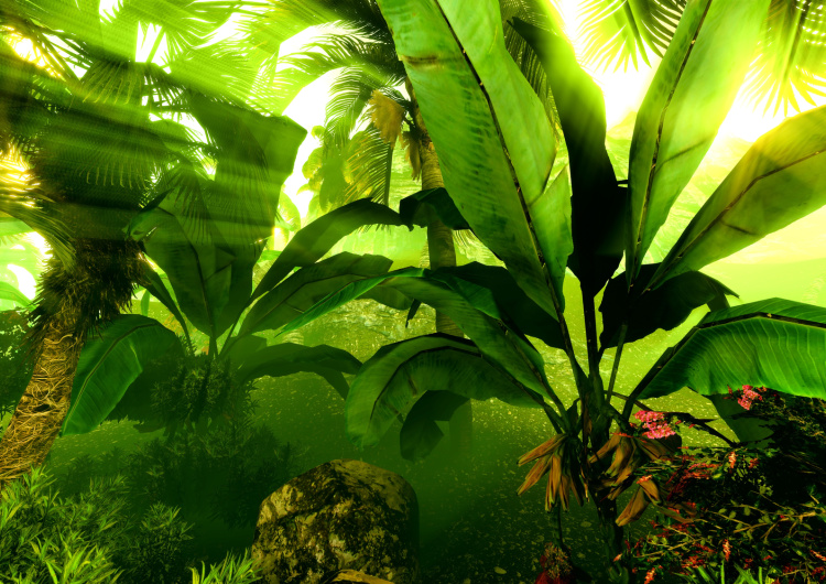 Tropický deštný prales