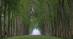 Park Versailles