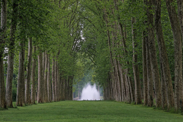 Park Versailles