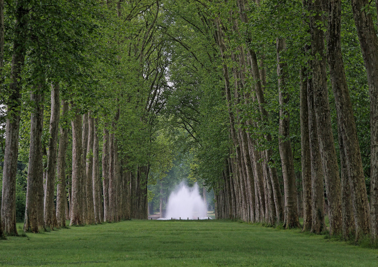 Park Versailles