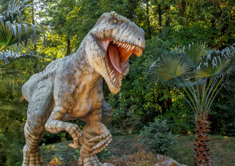 Model Tyranosaura Rexe