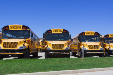 Řada školních autobusů