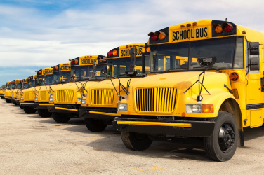 Školní autobusy