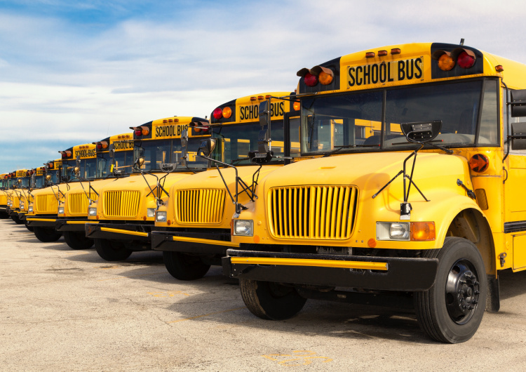 Školní autobusy