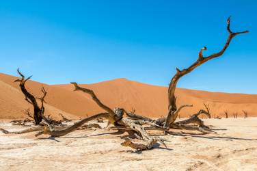 Suchá poušť