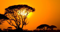 Západ slunce v Africe