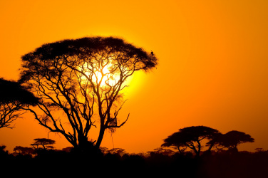 Západ slunce v Africe