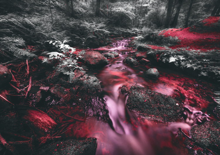 Rudý proud v džungli