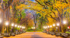 Central Park na podzim