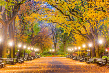 Central Park na podzim