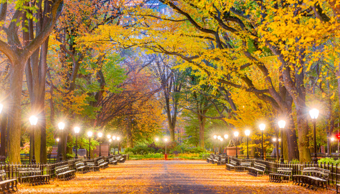 Central Park na podzim