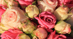 Svatební kytice růží