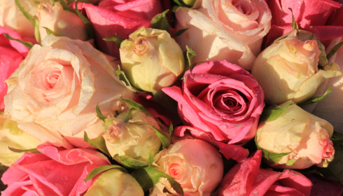 Svatební kytice růží