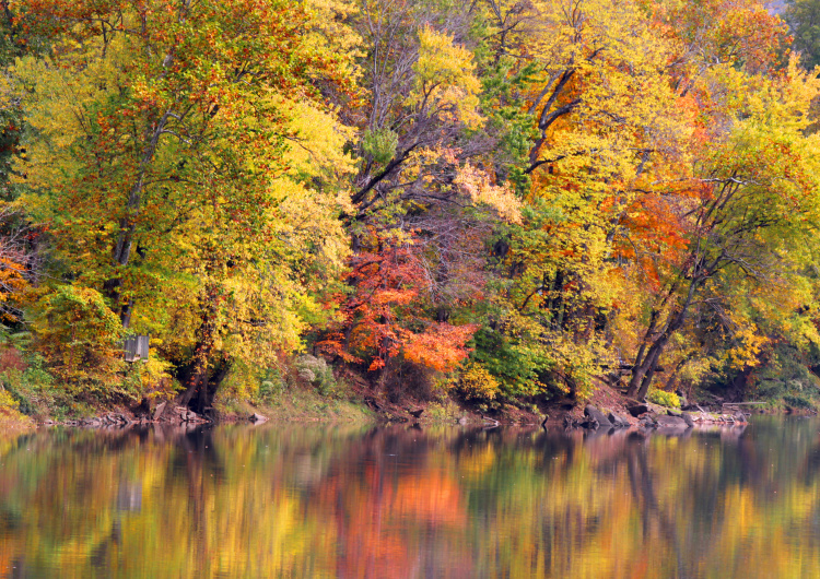 Odraz podzimní krajiny