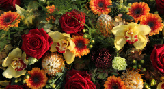 Květinové aranžmá