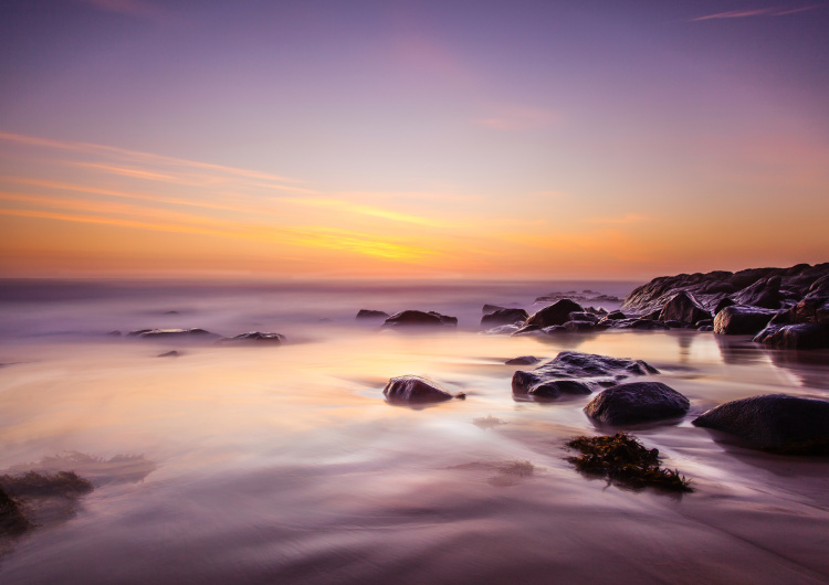 Přímořská krajina