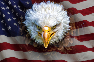 Americký orel na vlajce