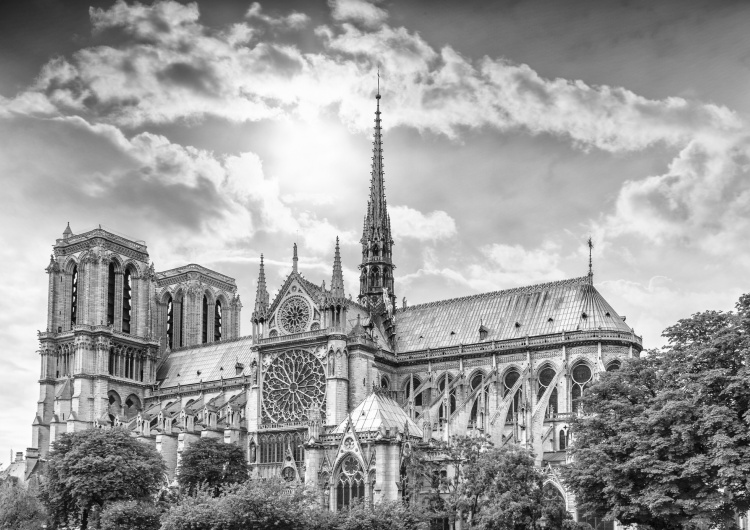 Katedrála Paříž