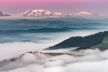 Krajina v mlze