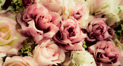 Starorůžové květiny