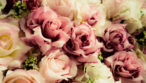 Starorůžové květiny