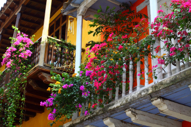 Balkon s květinami