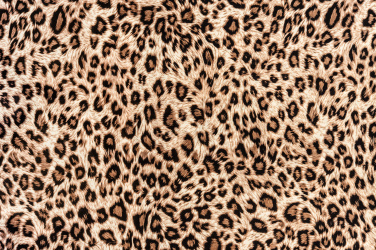 Leopardí kůže