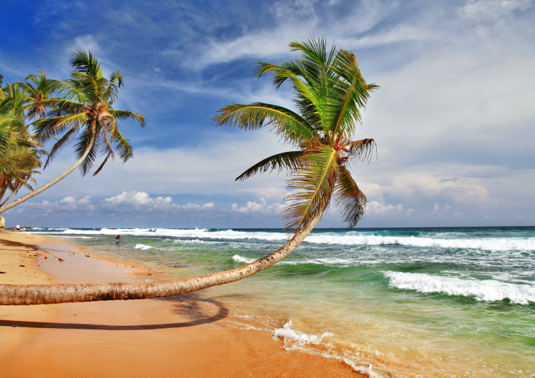 Krásná rozlehlá pláž