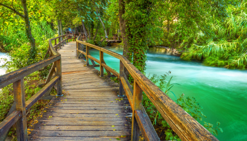 Procházka po dřevěném chodníčku