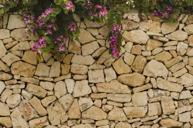 Kamenná zeď s květy
