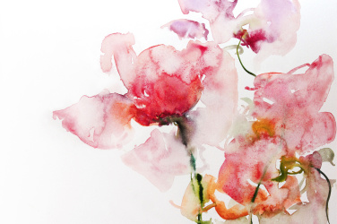 Malba - Květy akvarel