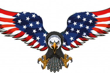 Americký orel s vlajkou