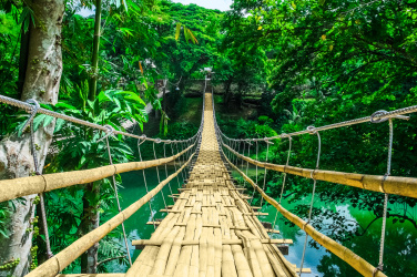 Bambusový závěsný most