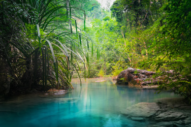 Průzračná voda v džungli